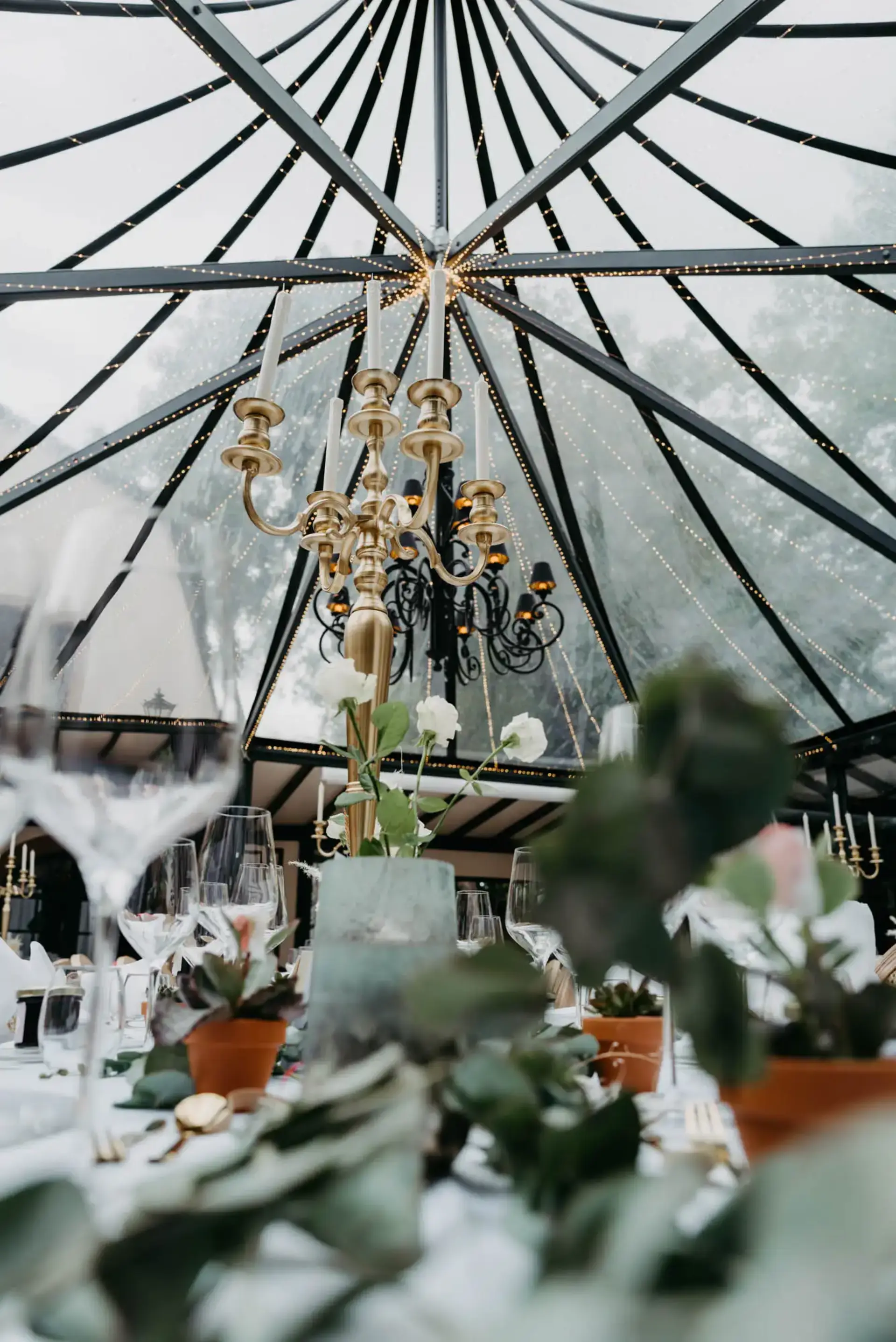 Hochzeit Morrhof Großkarlbach - Bild 60