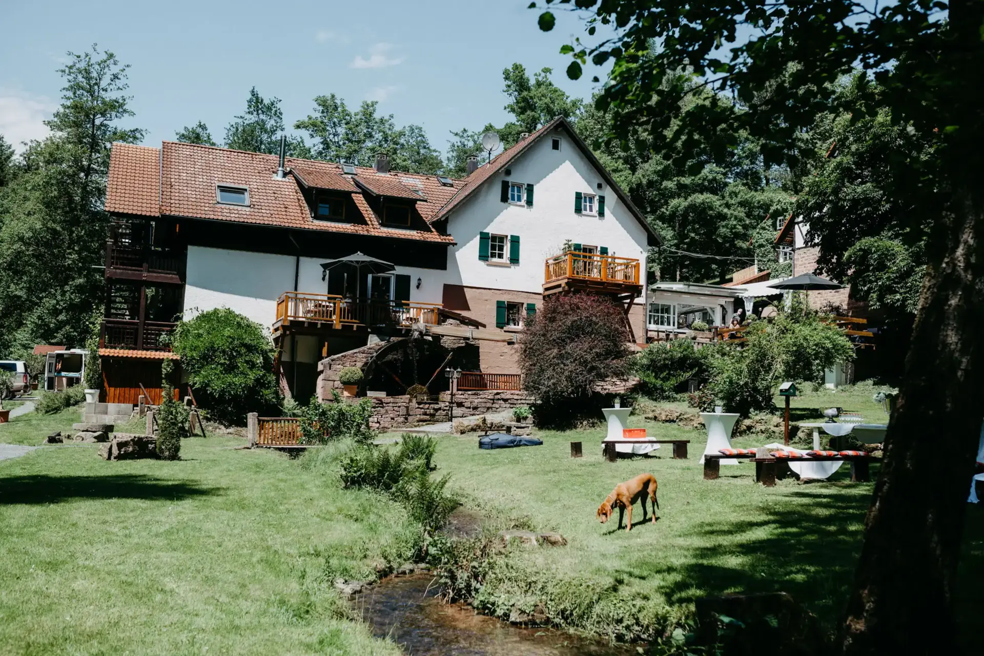 Hochzeit Heidersbacher Mühle Odenwald - Bild 08