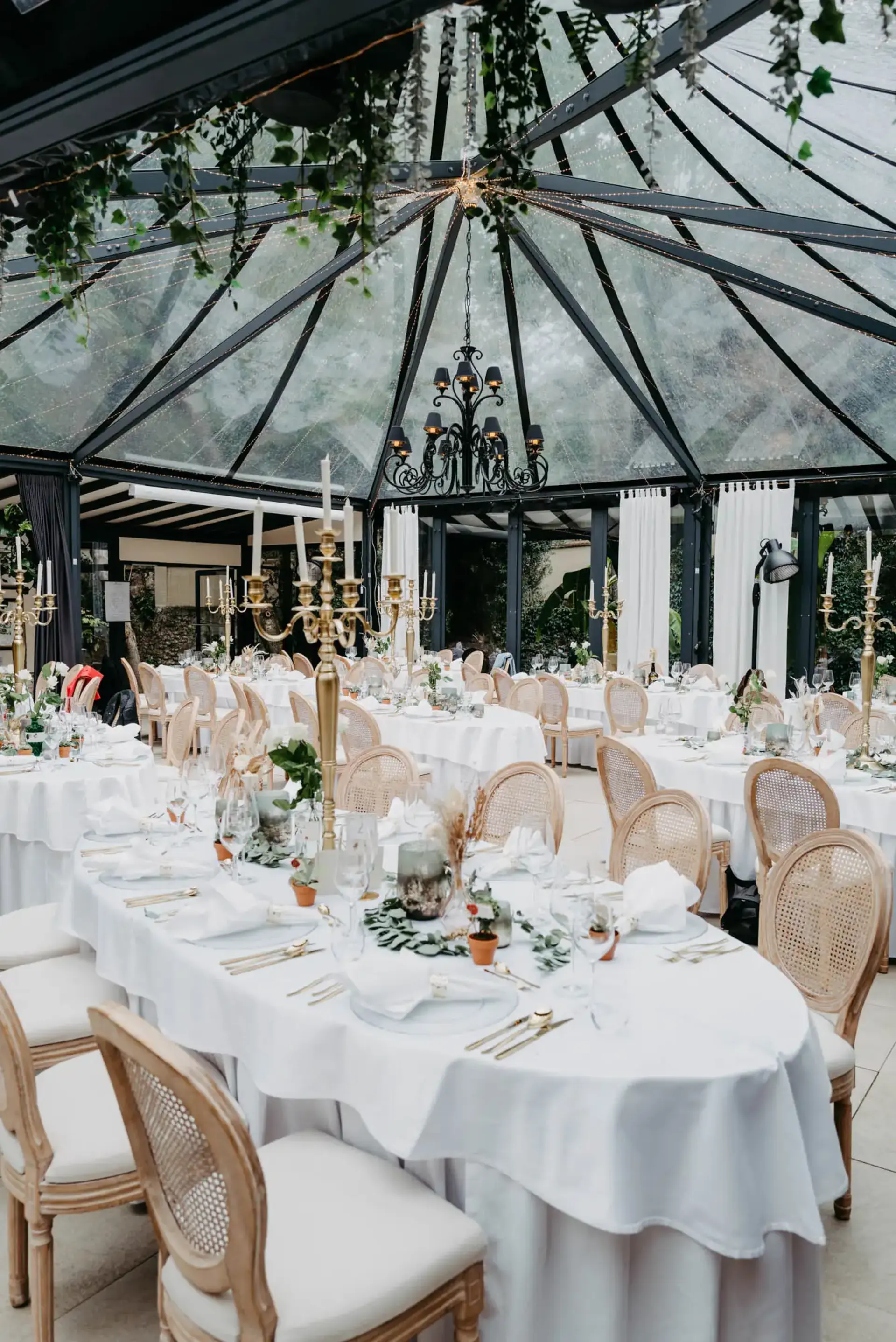 Hochzeit Morrhof Großkarlbach - Bild 58